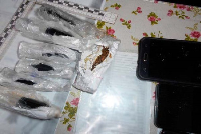 В исправительную колонию № 6 пытались перебросить с помощью «пушки» телефоны и наркотики / ЯСИА   