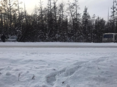 В Мегино-Кангаласском районе столкнулись две машины / ЯСИА  Мегино-Кангаласский Республика Саха (Якутия)