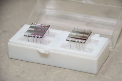 Сибирские учёные создают органические солнечные батарейки / ЯСИА   