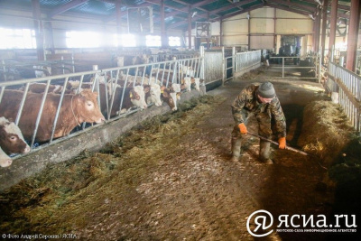 В Центре «Мой бизнес» проконсультируют сельхозпроизводителей / ЯСИА   