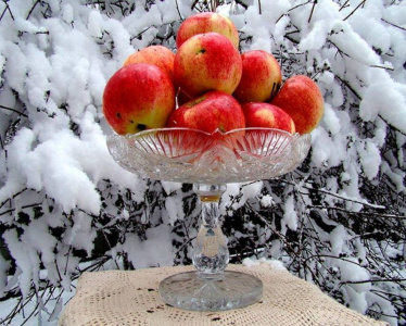 «Мы не можем влиять на погоду, но можем создавать настроение». Как компенсировать недостаток солнца / ЯСИА   