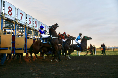 Стали известны победители конных скачек на призы главы Якутии / ЯСИА   