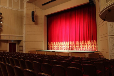 В ГД предложили ввести льготы на билеты в театр для многодетных семей / ЯСИА   Город Санкт-Петербург