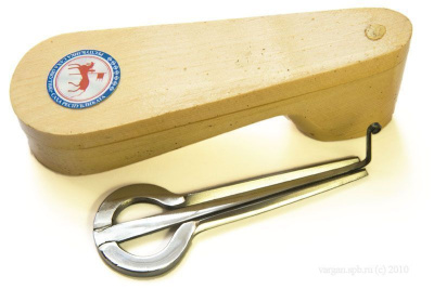 Международная организация варганистов поздравила якутян с Днем Хомуса / Аркадий Васильев   Республика Саха (Якутия)