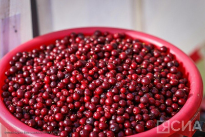 Какие витаминные напитки нужно пить зимой / ЯСИА   