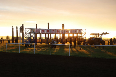 Лошадь якутской породы Таттинского района выиграла на скачках на призы мэра Якутска / ЯСИА   