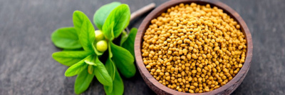 Пажитник: польза и вред для организма