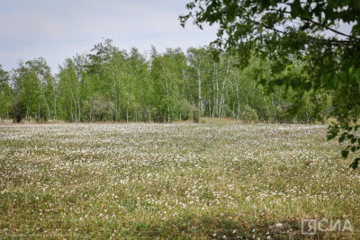 Когда обращаться к врачу после укуса насекомого / ЯСИА   