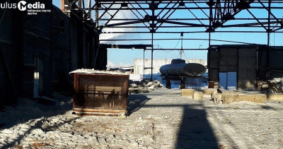 Большинство уличных собак были домашними. О ситуации с безнадзорными животными в Депутатском / ЯСИА   