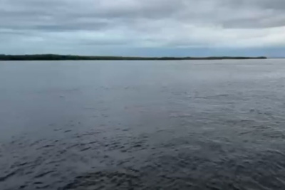 Инспекторы не обнаружили нефтяную пленку на реке Лене / ЯСИА   