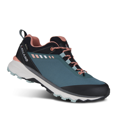 Ботинки STRIDER W'S GTX