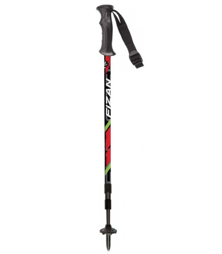 Палки трекинговые EXPLORER