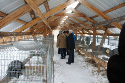 Новое меню для лисиц и соболей. На звероферме в Иенгре построили кормокухню / ЯСИА   