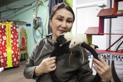 Чистюли, акробаты и просто интересные существа. Дрессировщица крыс о своих подопечных / Ольга Старостина   