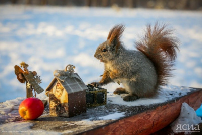 Какими будут январь и февраль: Прогноз погоды от Эhээ Дьыла / Ольга Старостина   