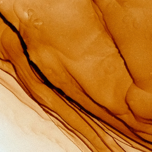 Чернила алкогольные nuance., №40, Янтарь