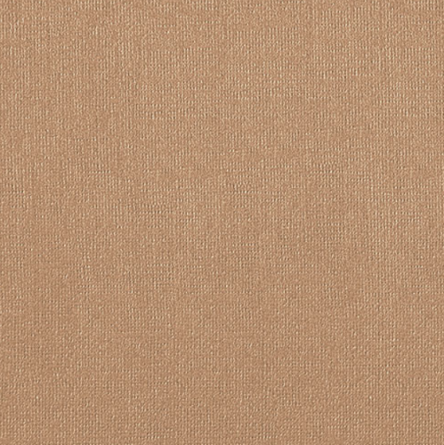 Бумага для пастели "Палаццо" 70x100 см 160 г бежевый