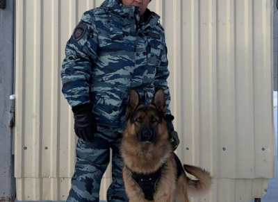 В Якутии полицейский-кинолог и его собака Лингард раскрыли убийство по горячим следам / ЯСИА   Республика Саха (Якутия)