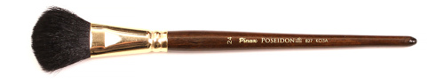 Кисть коза черная №24 овальная Pinax "Poseidon 827" короткая ручка