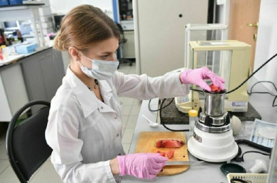 В колледжах будут учить на биотехнологов и авиалогистов / ЯСИА   