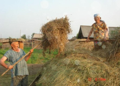 Золотой свадебный юбилей отмечает семья Чемпосовых из Олекминского района Якутии / ЯСИА  Олекминский Республика Саха (Якутия)