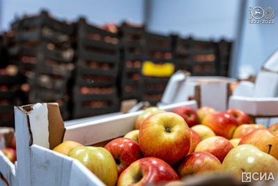 В Якутске открыли оптово-распределительный центр «Якутоптторга» / Айаал Аргунов Якутск Якутск Республика Саха (Якутия)