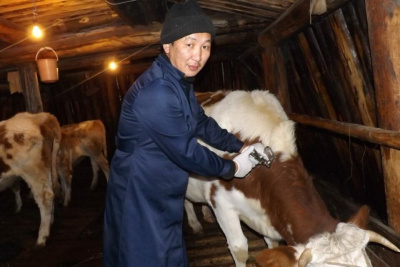 Обеспеченность кадрами ветеринарной службы Якутии составляет 93% / Виктория Сергеева   Республика Саха (Якутия)