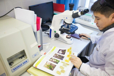 Первая на Дальнем Востоке программа подготовки инженеров-экологов откроется на базе СВФУ / Дмитрий Осипов   