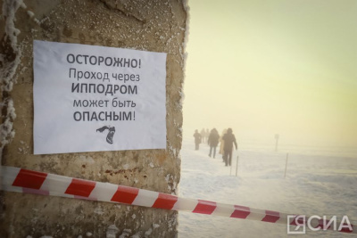 Город для собак. Возможно ли полностью решить проблему с безнадзорными животными в Якутске? / ЯСИА Якутск Якутск Республика Саха (Якутия)