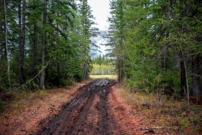 В Якутии ликвидировано более сотни свалок благодаря «зеленым» платежам / ЯСИА   