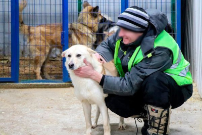 В Якутске осужденные ухаживают за животными в пункте передержки / ЯСИА Якутск Якутск Республика Саха (Якутия)