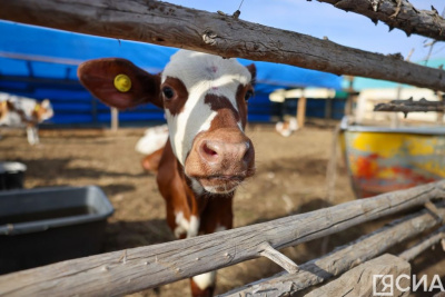 Якутия получит средства на агрогранты для ветеранов и участников СВО / ЯСИА   