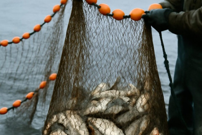 Все договоры на рыболовные участки будут перезаключены до июня 2026 года / ЯСИА   