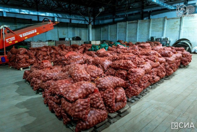 Якутоптторг: Запасов в республике достаточно, все остальное – искусственное нагнетание паники / Виктория Сергеева   