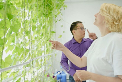 Вертикальное озеленение планируют внедрить в Якутске / ЯСИА Якутск Якутск Республика Саха (Якутия)