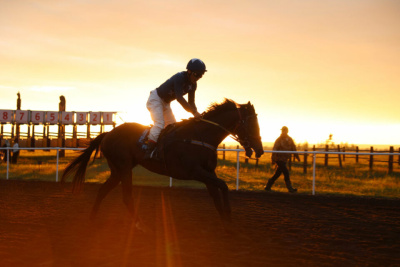 В Якутске проведут конные скачки Игр Манчаары — 2025 / ЯСИА   