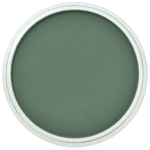 Пастель ультрамягкая "PanPastel" зеленый прочный экстра темный