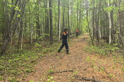 Еще один пенсионер-грибник заблудился в лесу в Якутске / ЯСИА Якутск Якутск Республика Саха (Якутия)