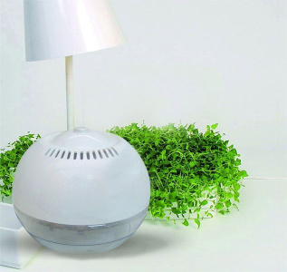 Россиянам рассказали, помогает ли ионизатор воздуха при борьбе с COVID-19 / ЯСИА   