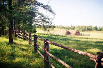 Рослесинфорг определит границы лесничеств на Дальнем Востоке / ЯСИА   Город Владивосток