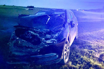 Табун лошадей протаранили на автомобиле в Хангаласском районе / ЯСИА   