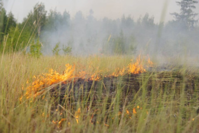 В Якутии стартовала федеральная информационная противопожарная кампания «Останови огонь!» / ЯСИА   Республика Саха (Якутия)