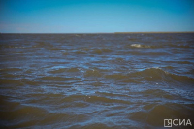 Из-за резкого подъема уровня воды в реке Чульман подтопило две улицы / ЯСИА   