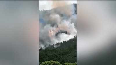 Спасатели КНР пока не обнаружили пассажиров и членов экипажа разбившегося Boeing / ЯСИА   