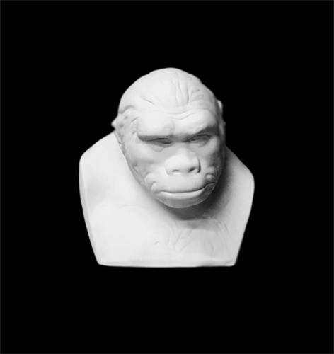 Гипс Бюст Питекантропа