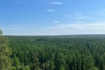 В лесу под Якутском пропали мужчина и двое детей / ЯСИА   