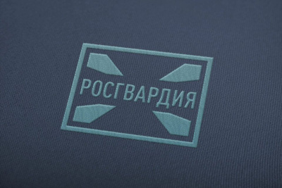 По «горячим следам» задержали якутянку, подозреваемую в краже сотового телефона у соседки / ЯСИА   Республика Саха (Якутия)