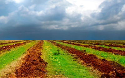 В Якутии на мелиорацию земель выделили 462 млн рублей / ЯСИА   Республика Саха (Якутия)