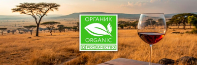Вино из ЮАР получило знак «Органик» /    