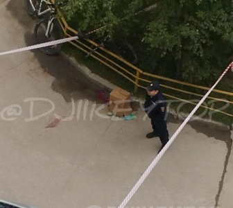 Молодой человек упал с 12-го этажа дома по ул. Петровского в Якутске / Николай Борисов Якутск Якутск Республика Саха (Якутия)